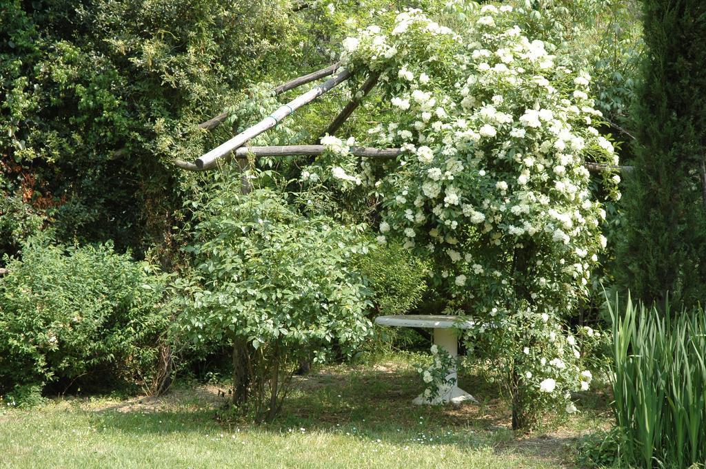 Appartamento Con Patio Privato E Giardino Tra Pisa E Firenze Palaia Bagian luar foto