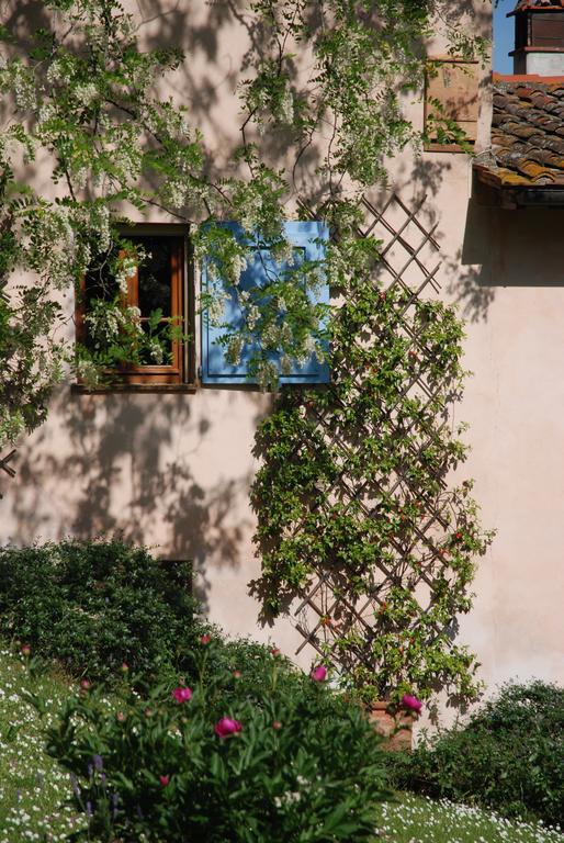 Appartamento Con Patio Privato E Giardino Tra Pisa E Firenze Palaia Bagian luar foto