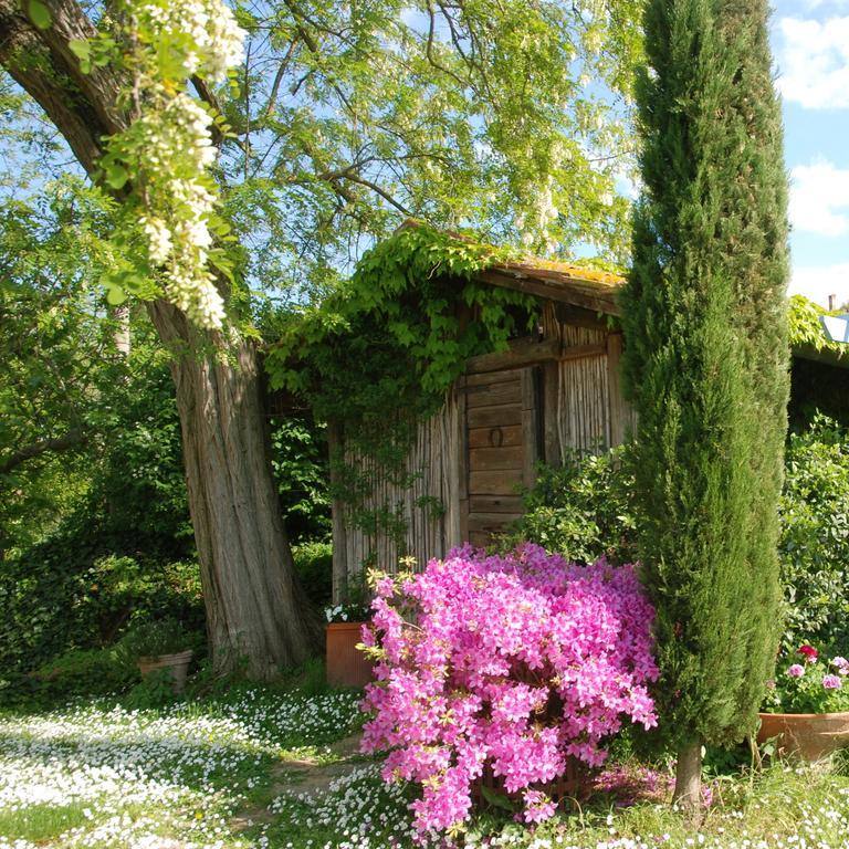 Appartamento Con Patio Privato E Giardino Tra Pisa E Firenze Palaia Bagian luar foto