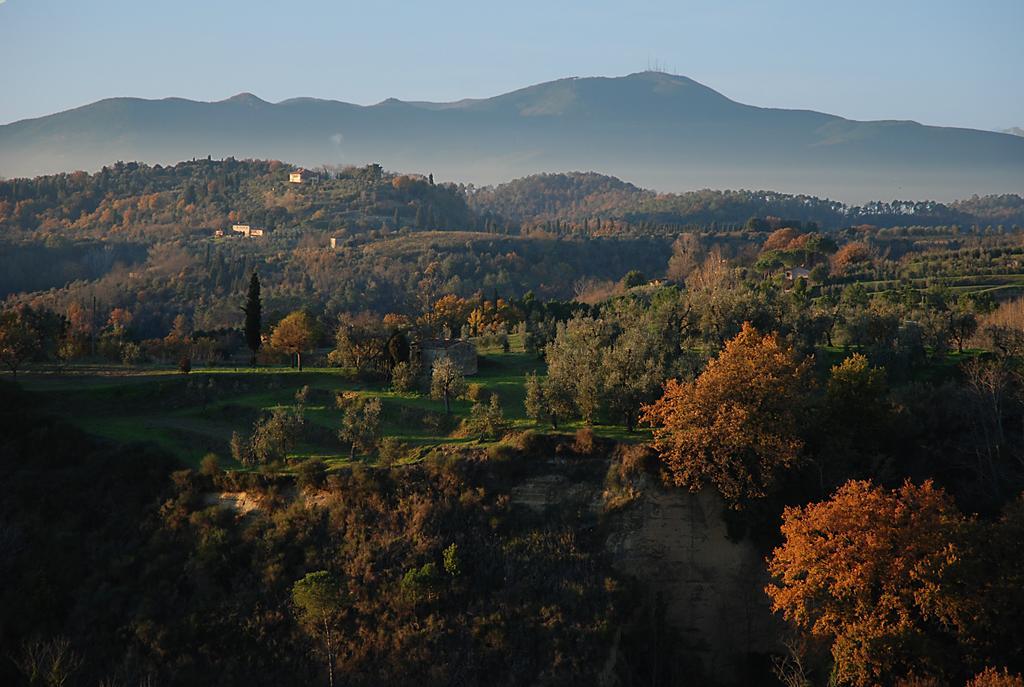 Appartamento Con Patio Privato E Giardino Tra Pisa E Firenze Palaia Bagian luar foto