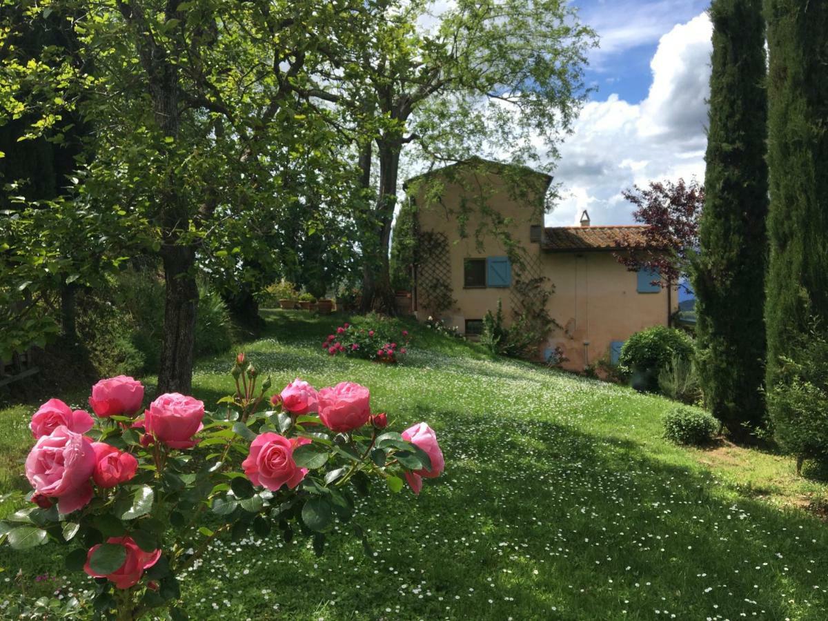 Appartamento Con Patio Privato E Giardino Tra Pisa E Firenze Palaia Bagian luar foto